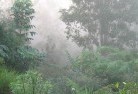 Kongolialandscaping-irrigation-4.jpg; ?>